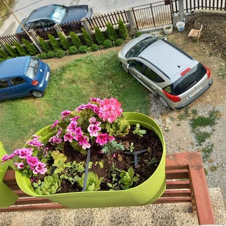 Apartmants Djekovi Ohrid Exteriör bild
