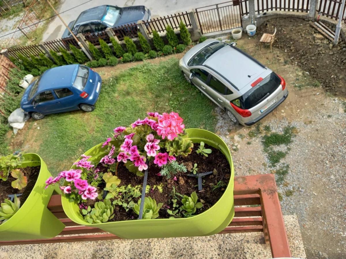 Apartmants Djekovi Ohrid Exteriör bild